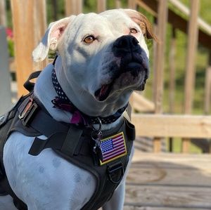 Meet your Posher, Tim